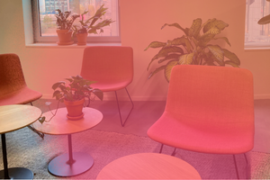 Accompagnement stratégique